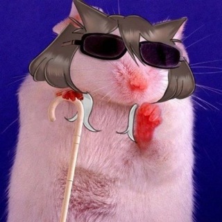 Telegram profile photo for RTCat