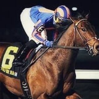 Telegram profile photo for ROMPEBANCA HIPISMO Ruta Ganadora