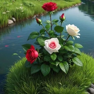 Telegram profile photo for 💞گوڵبـــزە و گوڵبـــژێر💞