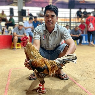 Telegram profile photo for ទ្រុងមាន់មាត់ទន្លេ