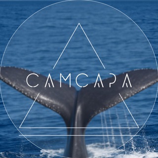 Telegram profile photo for САМСАРА I ТУРЫ I КОЛЬСКИЙ I ДАГЕСТАН