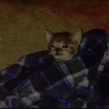 Telegram profile photo for мемність буття нестерпна