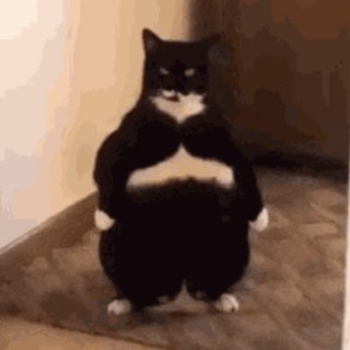 Telegram profile photo for $FAT Portal