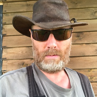 Telegram profile photo for BLACKBEEHOUSE
