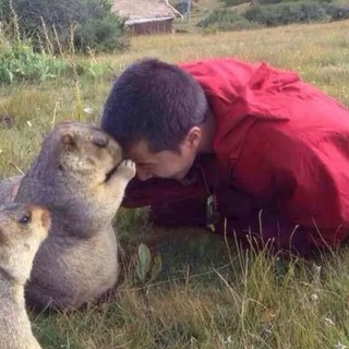 Telegram profile photo for dsmblg
