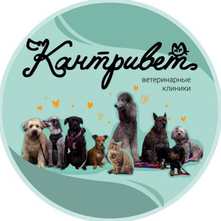 Telegram profile photo for КантриВет ветеринарные клиники