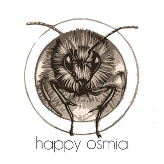 Telegram profile photo for Happyosmia - одиночные пчелы осмии