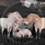 Telegram profile photo for @kålinnêkhtäᶫᶦᵛᵉ