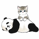 Telegram profile photo for lua report
