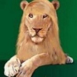 Telegram profile photo for ОЧЕНЬ КРУТЫЕ ОФОРМЫ❤️❤️❤️🥰🥰🥰😍😍😘🤩🤩🤩
