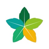 Telegram profile photo for 🍁五叶小铺🍁两年老店