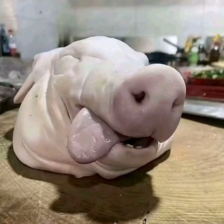 Telegram profile photo for 反馈发送频道