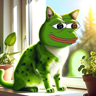 Telegram profile photo for Pepe Cat | I'M $PAT 🐸🐱 (CTO)