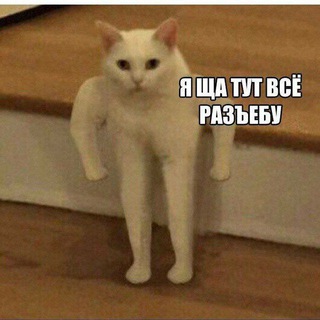 Telegram profile photo for Alexey 1080