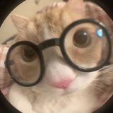 Telegram profile photo for aya diary 🤩
