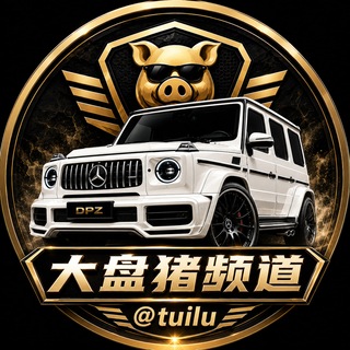 Telegram profile photo for 大盘猪集团 @tuilu