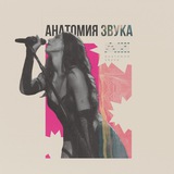 Telegram profile photo for Анатомия звука