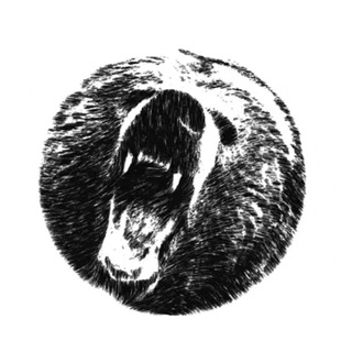 Telegram group profile photo for The Bear