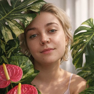Telegram profile photo for Сизиф борется с паутинным клещом