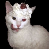 Telegram profile photo for янгарден