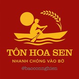 Telegram profile photo for TÔN HOA SEN 🏆🥇