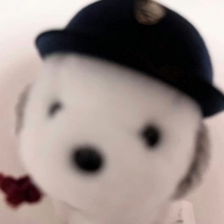 Telegram profile photo for 给蝴蝶热点钱