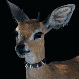 Telegram profile photo for misery!