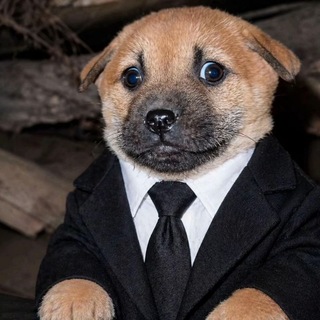 Telegram profile photo for Шедоу лайф