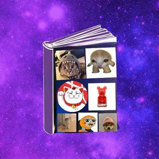 Telegram profile photo for BOOK OF MISSED OPPORTUNITIES
