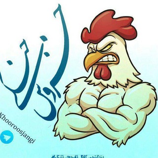 Telegram profile photo for 🐓 خروس جنگی🎃