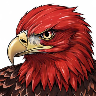 Telegram profile photo for Взгляд Орла | Психология