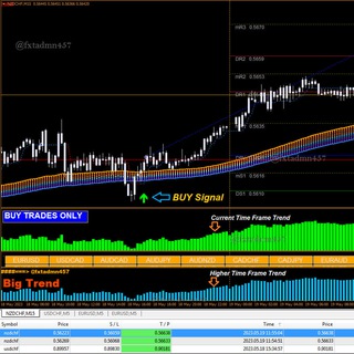 Telegram profile photo for Forex Trading System