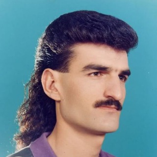 Telegram profile photo for Chain Abstraction Key Insights