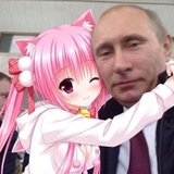 Telegram profile photo for Himera chat