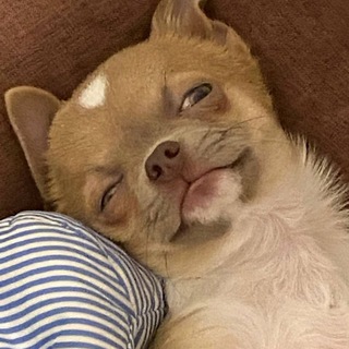 Telegram profile photo for такИесть