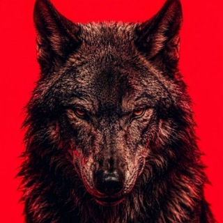 Telegram profile photo for ๐ฐ๐๐๐๐๐๐๐๐๐
๐๐๐ ๐๐๐๐ ๐ซ๐๐๐๐ & ๐จ๐๐๐๐๐