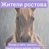 Telegram profile photo for ростовская область confessions! на плаву