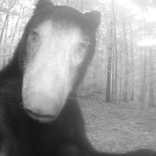 Telegram profile photo for блбя & со
