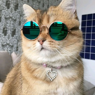 Telegram profile photo for ДНК-стикеры 🧬