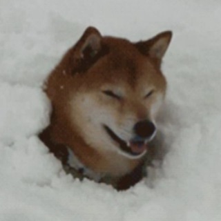 Telegram profile photo for Зерновые поля