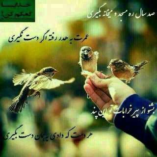 Telegram profile photo for ﭘﺎﺗﻮﻕ ﺷﻮﺭاﻱ ﻣﺤﻼﺕ