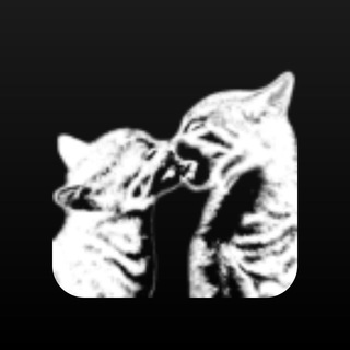 Telegram profile photo for Жизнь кити кета
