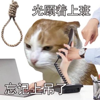 Telegram profile photo for прайс йорген морген