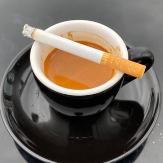 Telegram profile photo for ٦ أبريل