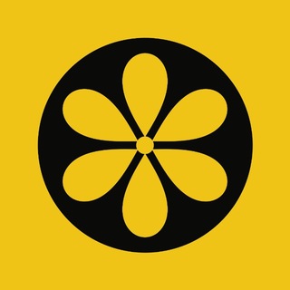 Telegram profile photo for TickerFall - Public Portal