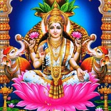 Telegram profile photo for DHAN LAXMI MATKA