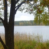 Telegram profile photo for лавовые поля.2011