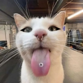 Telegram profile photo for keichannel ❤️🩹
