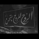 Telegram profile photo for سـتـوريـات مـنـوعـة 🦋💙
