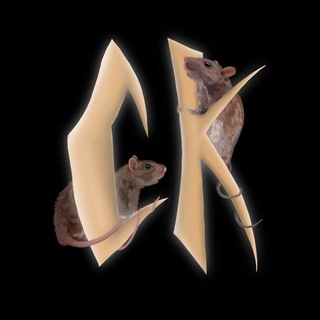 Telegram profile photo for СЛИВНАЯ КРЫСА 18+